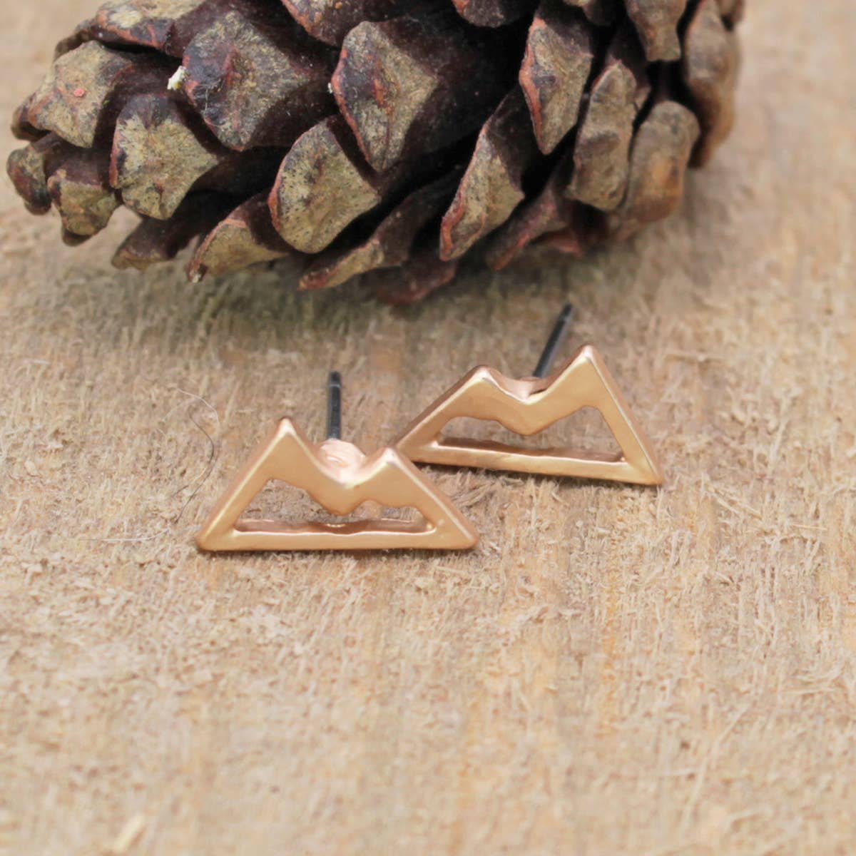 Literary Quotes Mountains Post Earrings