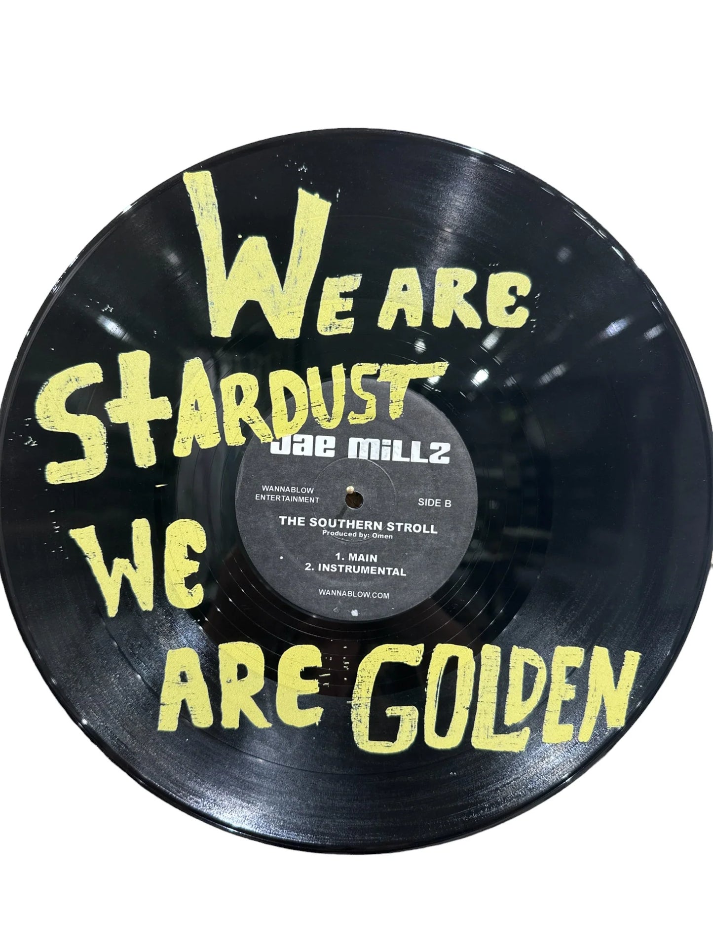 Vinyl Records (Multiple Designs)