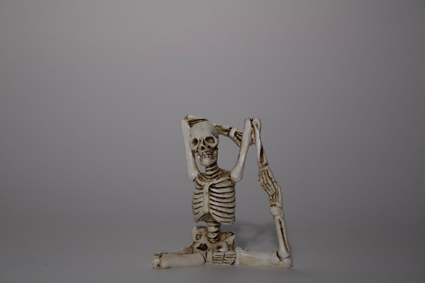 Skeleton in Yoga Pose, 5 Styles