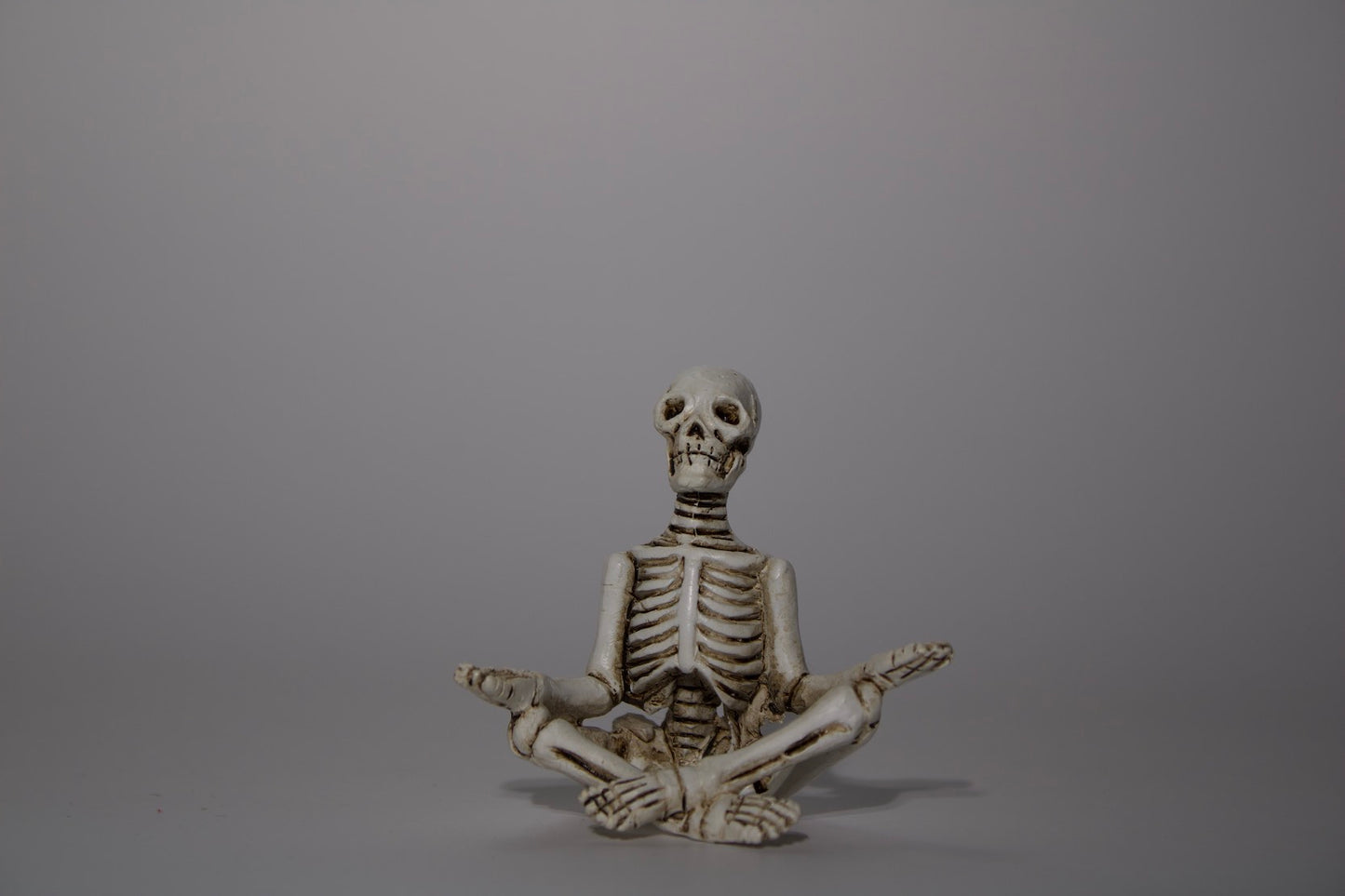 Skeleton in Yoga Pose, 5 Styles