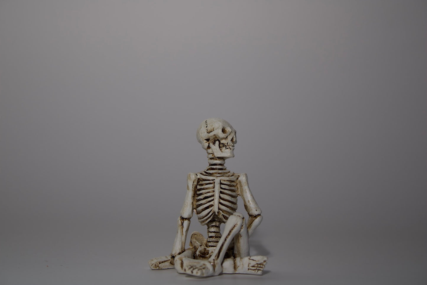 Skeleton in Yoga Pose, 5 Styles