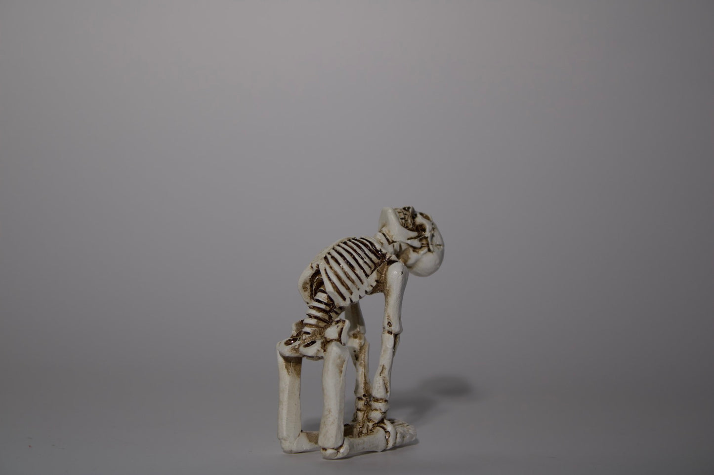 Skeleton in Yoga Pose, 5 Styles