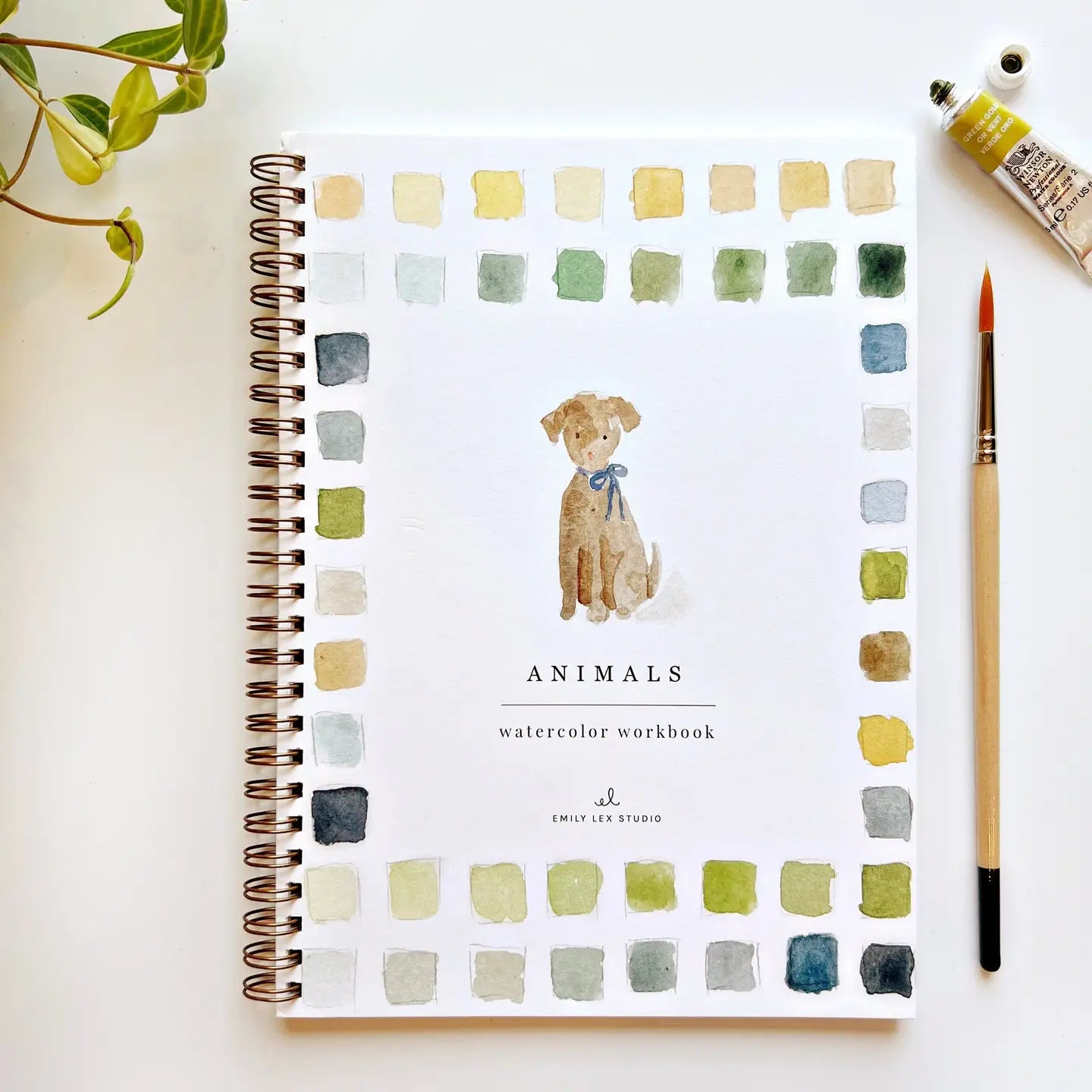 Water Color Workbooks
