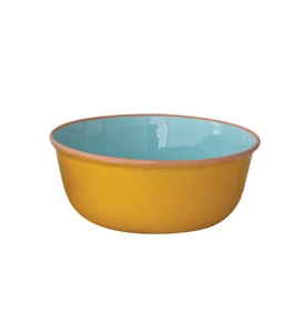 Enameled Stainless Steel Bowl with Colored Edge