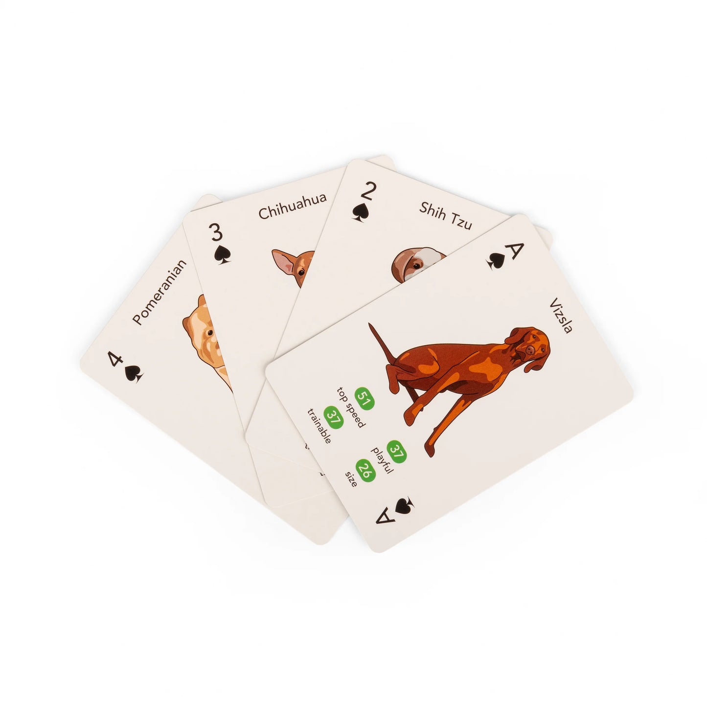 Kikkerland Playing Cards