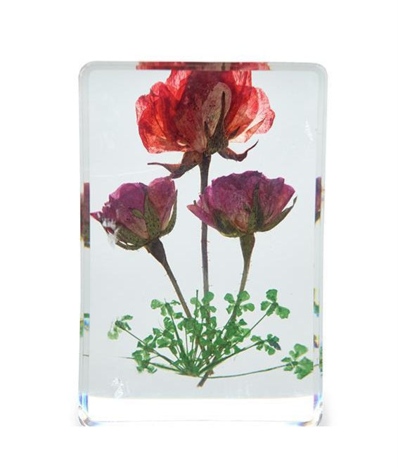 Wildflower Pressed Floral Keepsake