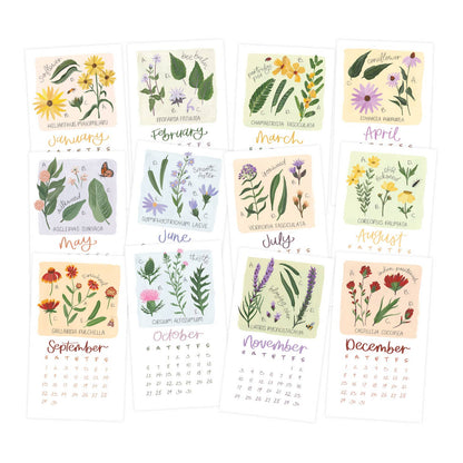 2024 Stump Calendar - Wildflower Botanicals