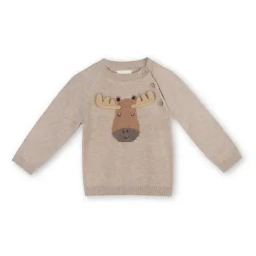 Fall Baby Boy Pullover Sweater