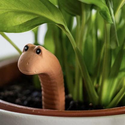 Water Worm