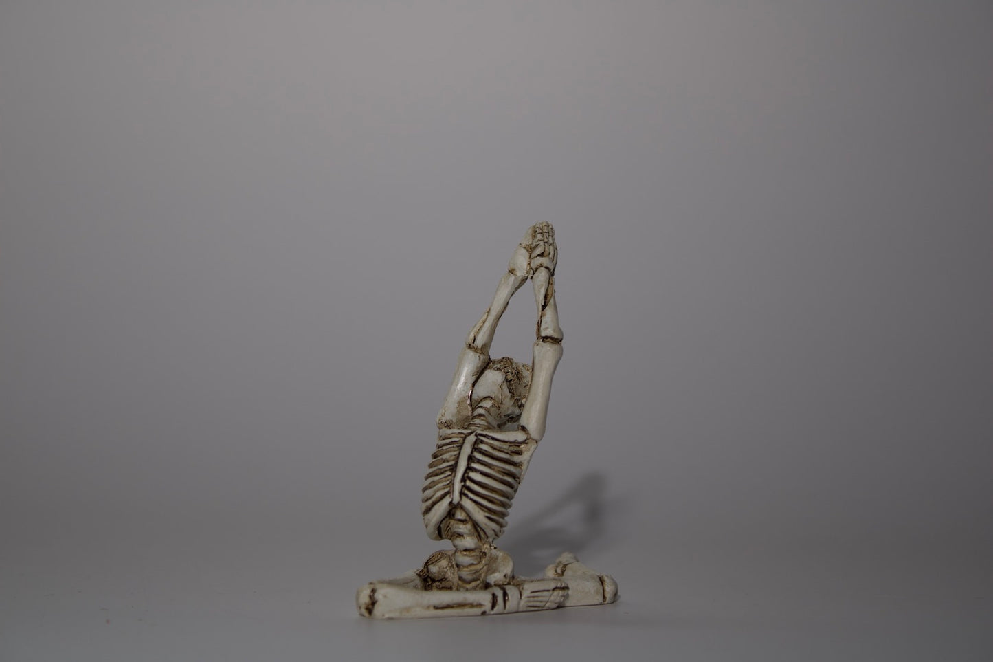 Skeleton in Yoga Pose, 5 Styles