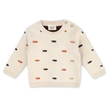 Fall Baby Boy Pullover Sweater