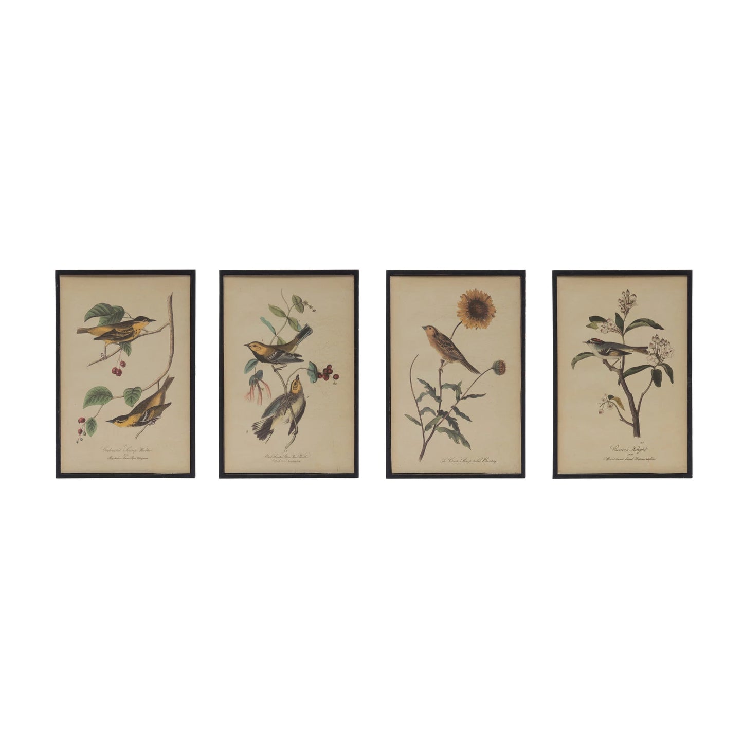 Framed Wall Decor with Bird and Flower, 4 Styles