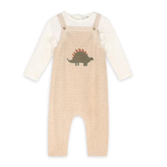 Dino Applique Baby Knit Overall Set