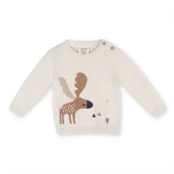 Fall Baby Boy Pullover Sweater