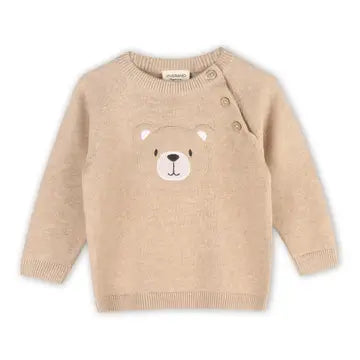 Fall Baby Boy Pullover Sweater