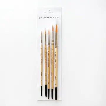 Water Color Paintbrush Set